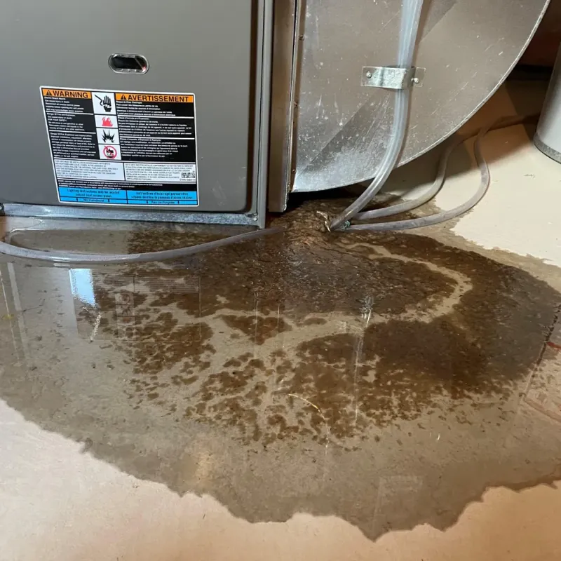 Appliance Leak Cleanup in Kinston, NC